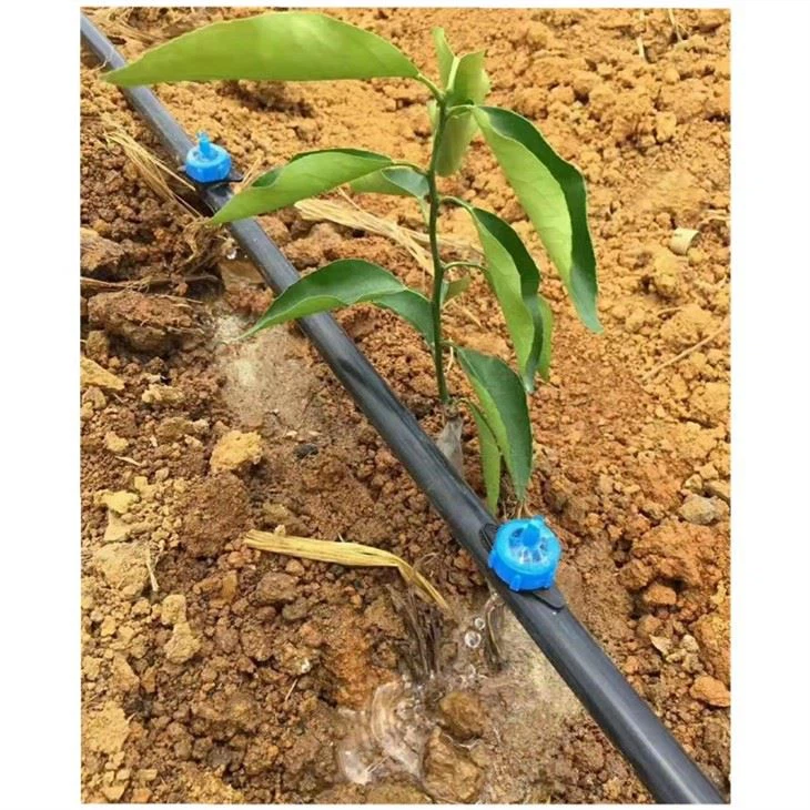 Automatische watergever, druppelirrigatiesysteem met knop